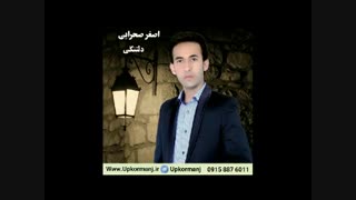 دانلود اهنگ کرمانجی جدید اصغر صحرایی به نام دلتنگی