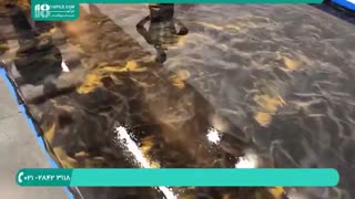 آموزش نصب اپوکسی با تابلو چسب