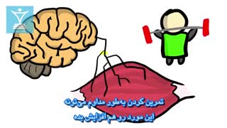 تفاوت افزایش قدرت و عضله سازی
