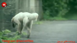 5 مکان تفریحی ترسناک که جرات سفر به آنها را نخواهید داشت! (مستند کوتاه) زیرنویس+توضیحات