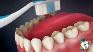 دلیل بوی بد دهان | کلینیک دندانپزشکی ایده آل