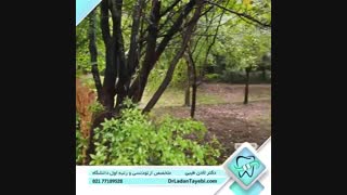 رویا پردازی | دکتر لادن طیبی