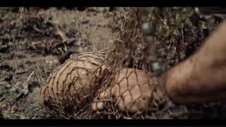 سریال The Witcher - قسمت 05