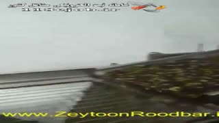 محصولات ارگانیک همتی در رودبار