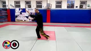 آموزش کاتا توسط شیهان حبیب بوجارزاده