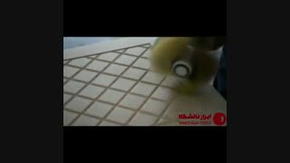 پولیشر دستی چوب