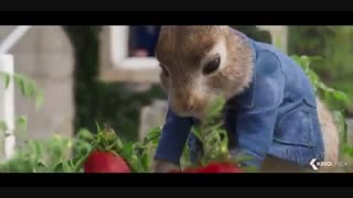 تریلر انیمیشن Peter Rabbit 2 : The Runaway