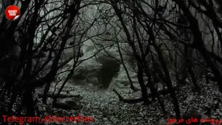 ماجرای واقعی قتلهای وحشتناک مزرعه هینترکایفک! (مستند کوتاه ترسناک) زیرنویس+توضیحات