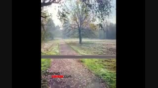 قیمت ال ای دی ایکس ویژن - انتخاب سنتر