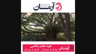 دوره جامع عکاسی-آموزشگاه عکاسی در تهران