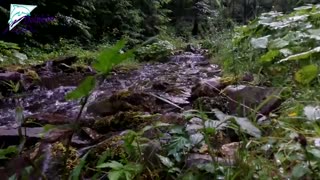 دریاچه سینویر