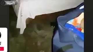 ویدیو ترسناک از یک روح