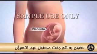 عمل IVf | دکتر سوزان پیروان
