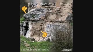 فرید باقری - گمانه زنی نیمرخ انسان