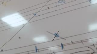 دانشگاه توئنته هلند، موسسه مهاجرت تحصیلی | go2tr