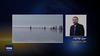 فرضیه جدید در پرونده پرندگان میانکاله