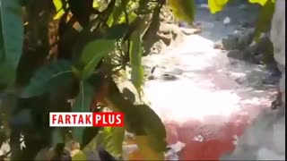 رودخانه‌ای به رنگ خون