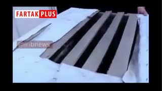 ورود گرگ به یک خانه در بوکان!