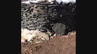 سنگ لاشه منظم فروش سنگ لاشه