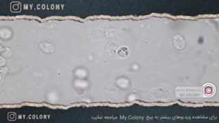 اسرار پشت پرده کرونا