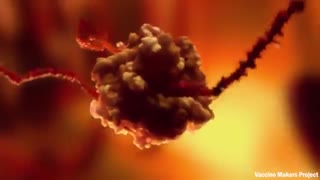 What Actually Happens If You Get Coronavirus