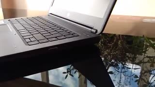لپ تاپ استوک HP ProBook 645 G1 - A6 amd