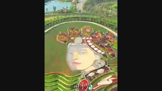 هنر نقاشی چینی با استفاده از گل بلیطش با فلاوینگو