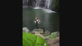 جزیره بالی ، بلیطش با فلاوینگو