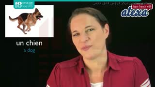 زبان فرانسه مبتدی - حیوانات خانگی