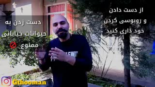 پیشگیری و درمان ویروس کرونا