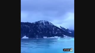 تور مالدیو ، بلیطش با فلاوینگو