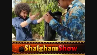 حتما ببینید