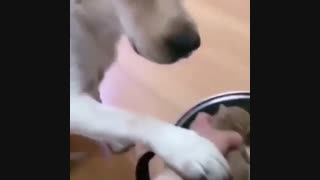 عشق و مهر مادری