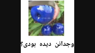 رو سیبه کراش زدم*-*