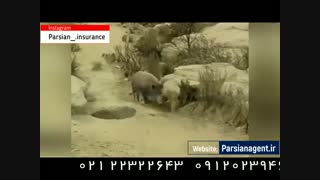 تبلیغ خلاقانه بیمه مکمل - نمایندگی ظهیری سروری بیمه پارسیان