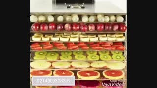 دستگاه خشک کن میوه سبزیجات