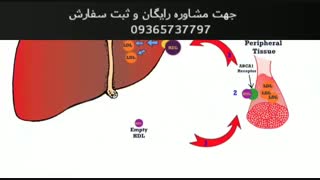 اگر کبد چرب داری این کلیپ رو نبین..