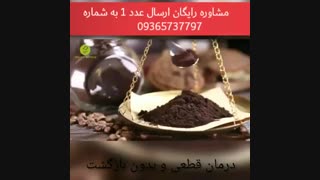 چگونه گانودرما تهیه کنیم و از کجا بخریم؟؟
