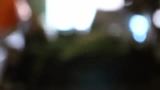 معرفی کمپانی فوراورلیوینگ آمریکا