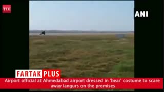 روش عجیب مسئولان فرودگاه برای خلاص شدن از شر میمون‌های مزاحم!