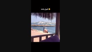 وات د هل؟..