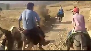 بیدقطار ...یادش بخیر .رضا رئیسی