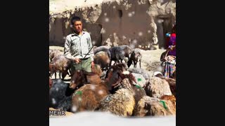 رضا رئیسی ستاره آسمون نقش زمینه  بیدقطار