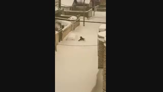 خلخال و خودروهای مدفون شده در برف