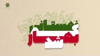 زمستانی که بهار شد - چهل روز با سردار دلها
