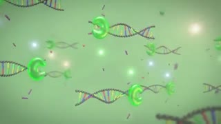 ViiA™ 7 Real-Time PCR System-2