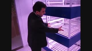 اتاق رشد گیاه