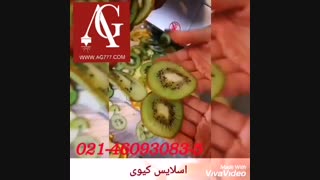 دستگاه اسلایسر