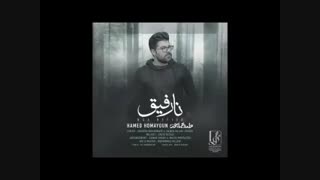 دانلود آهنگ جدید حامد همایون نارفیق