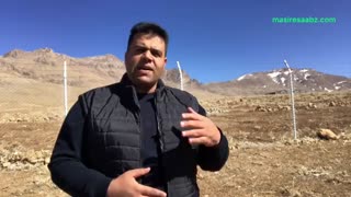 تاثیر رفتار پدر و مادر بر تربیت فرزند